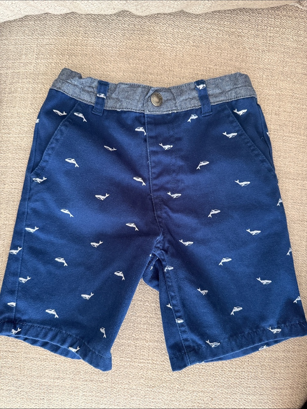 Nautica Navy Blue Whale Embroidered Boys Shorts 4T